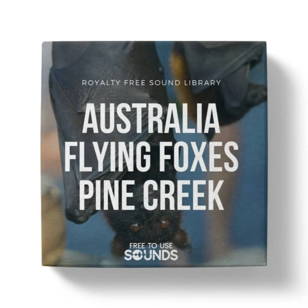 Flying Foxes and Fruit Bat Sounds