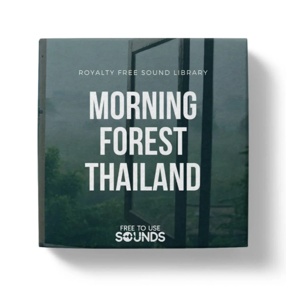 Morning Forest Ambience Chiang Dao Thailand