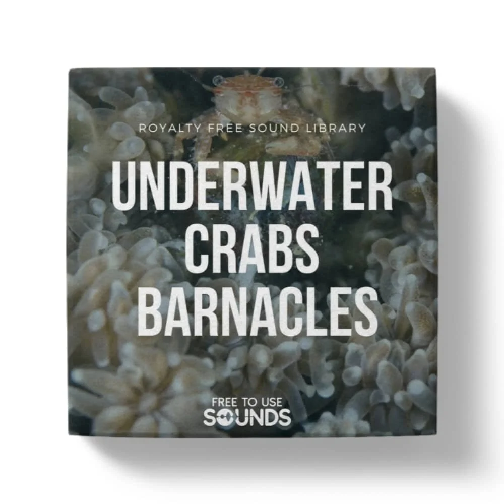 Underwater Fishing Port Ambiences