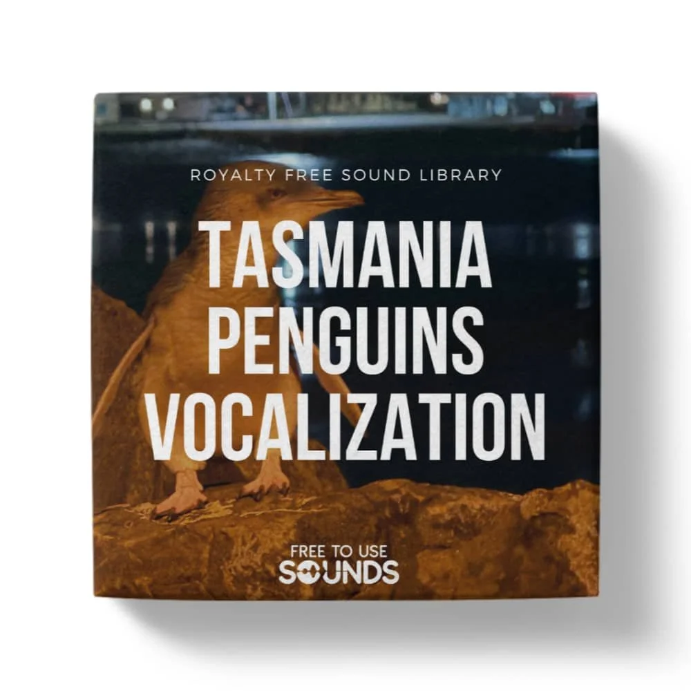 Little Penguins Vocalizations Sound Effects Library