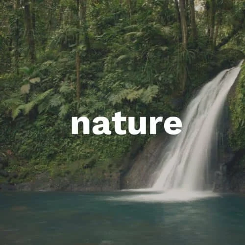 Nature Sound Category