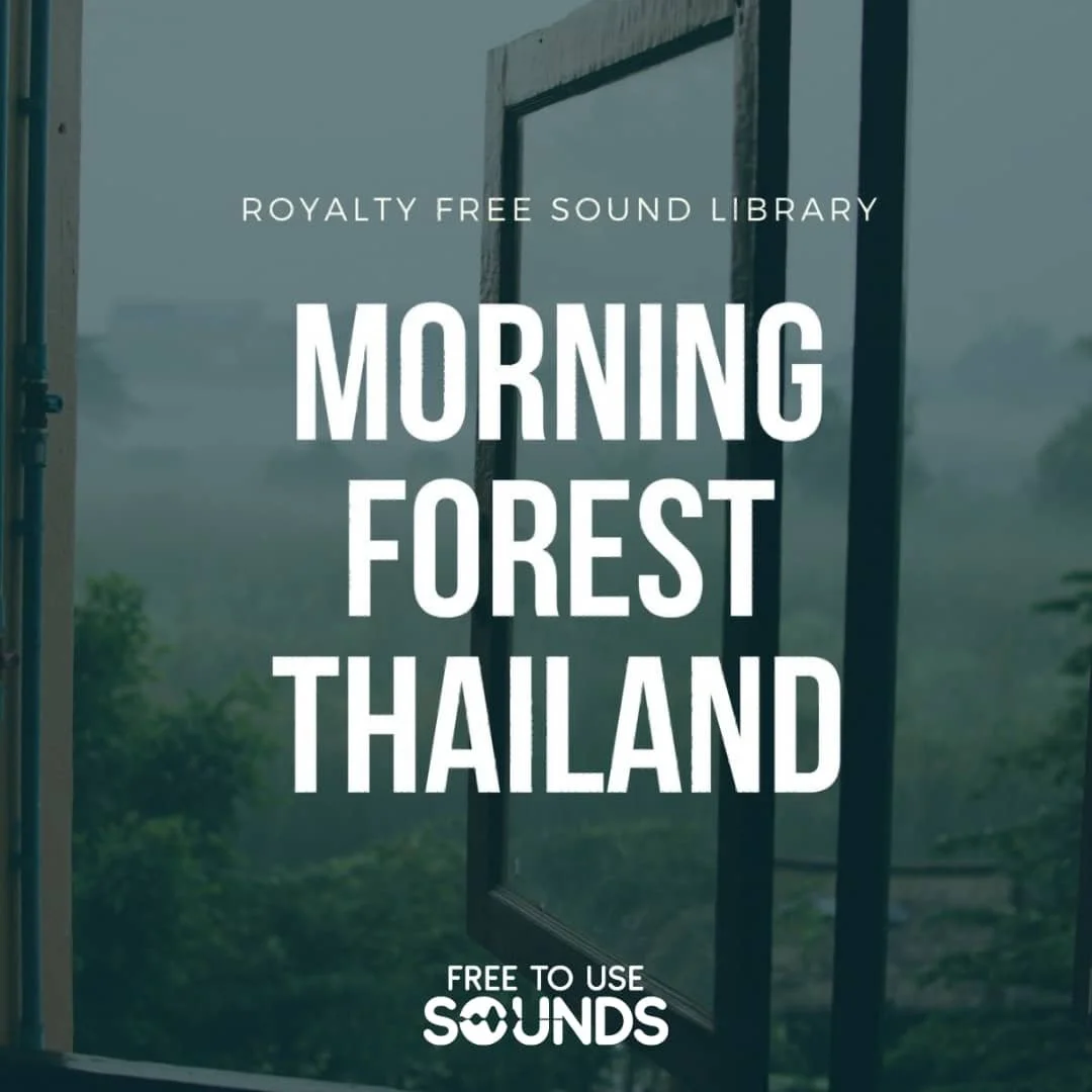 Morning Forest Ambience Chiang Dao Thailand