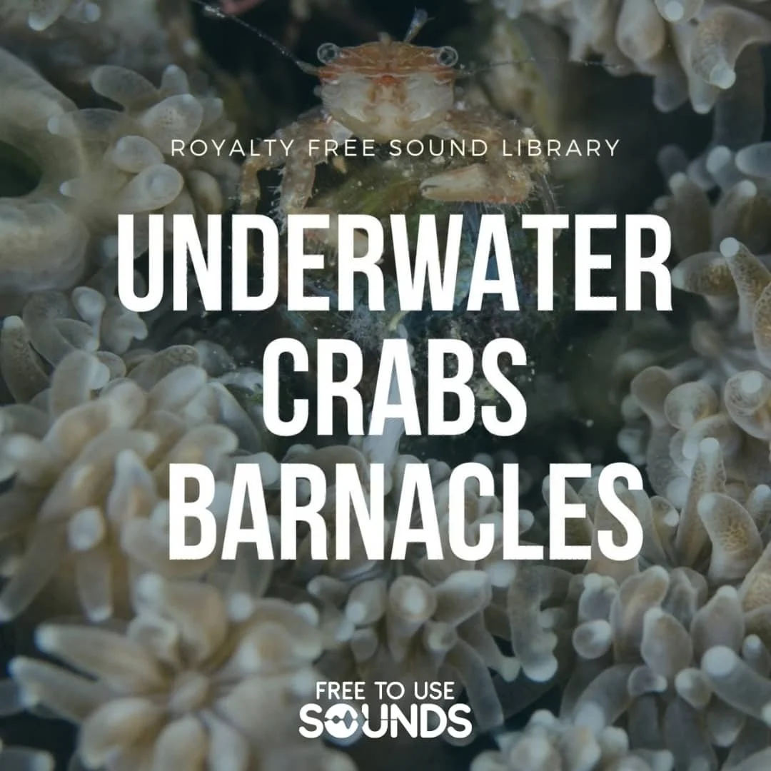 Underwater Fishing Port Ambiences