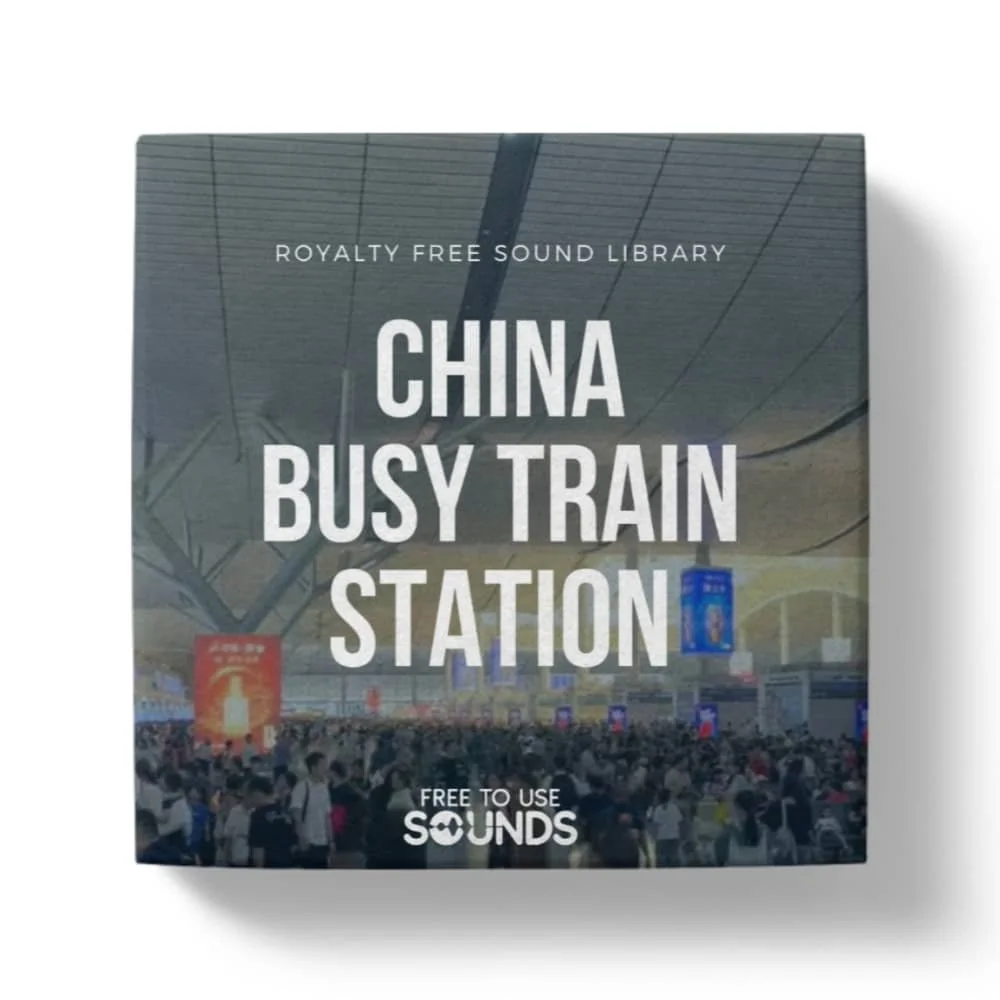 Crowded Train Station Sounds China