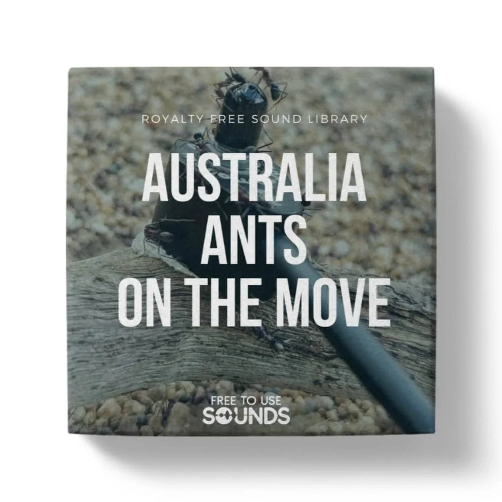 Creepy Crawly Ant Sounds for Sound Design