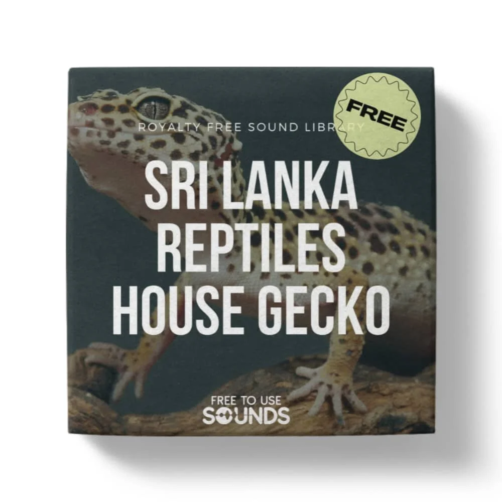 Free Asian House Gecko Sounds