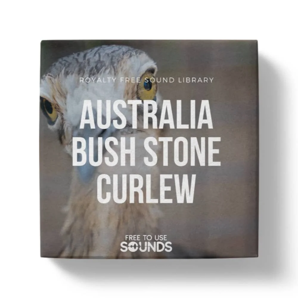 Australian Bush Stone-Curlew Sounds — Free to Use Sounds