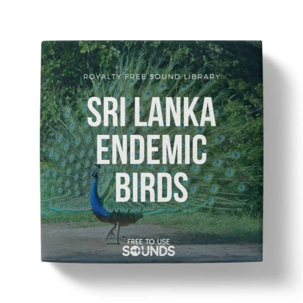 Endemic Birds Sound Library Sri Lanka