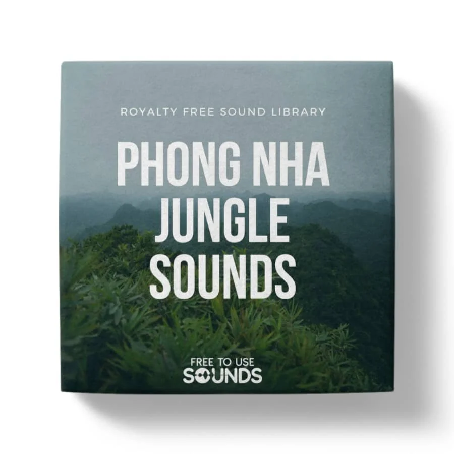 Rainforest Ambience Phong Nha Vietnam