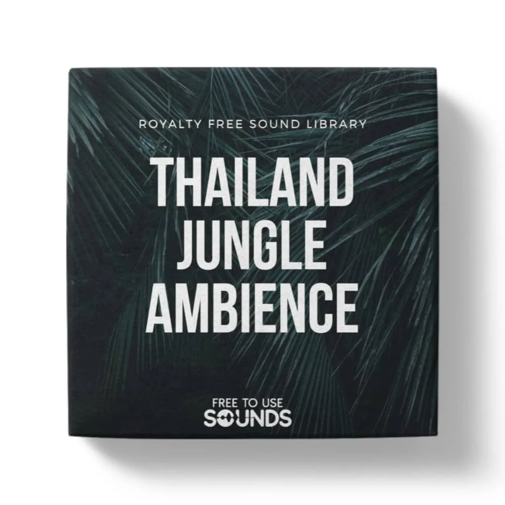 Night Rainforest Sound Library Thailand