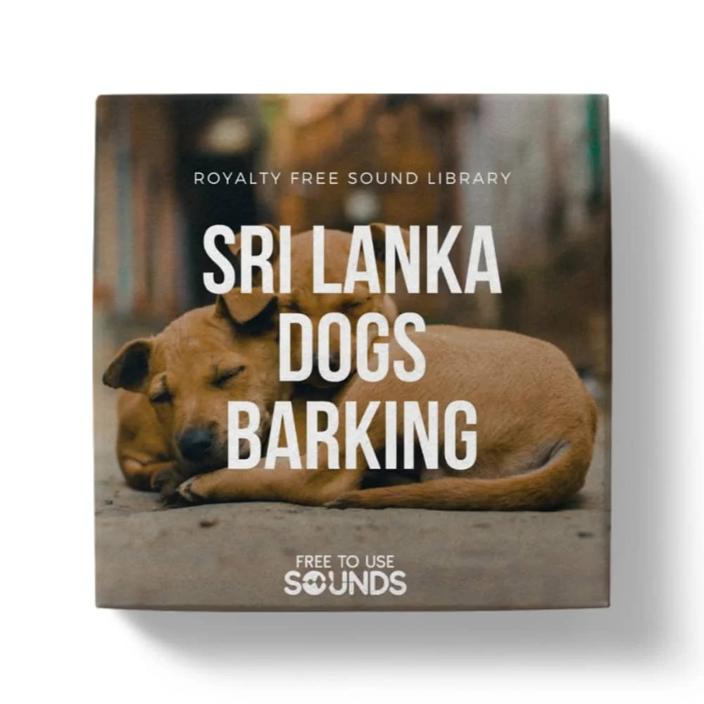 Street Dogs Barking Sounds