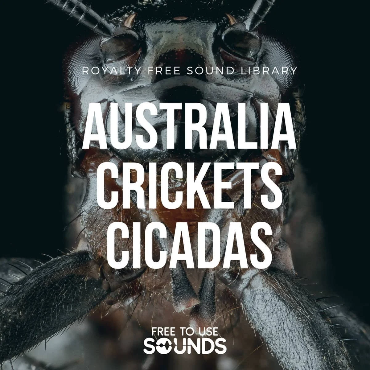 Australian Cicadas and Crickets Sound Effects