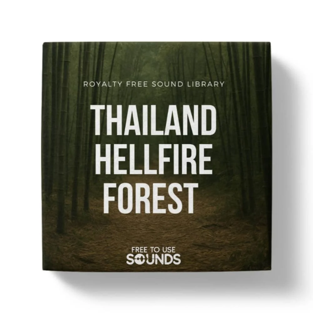 Bamboo Forest Ambience Thailand