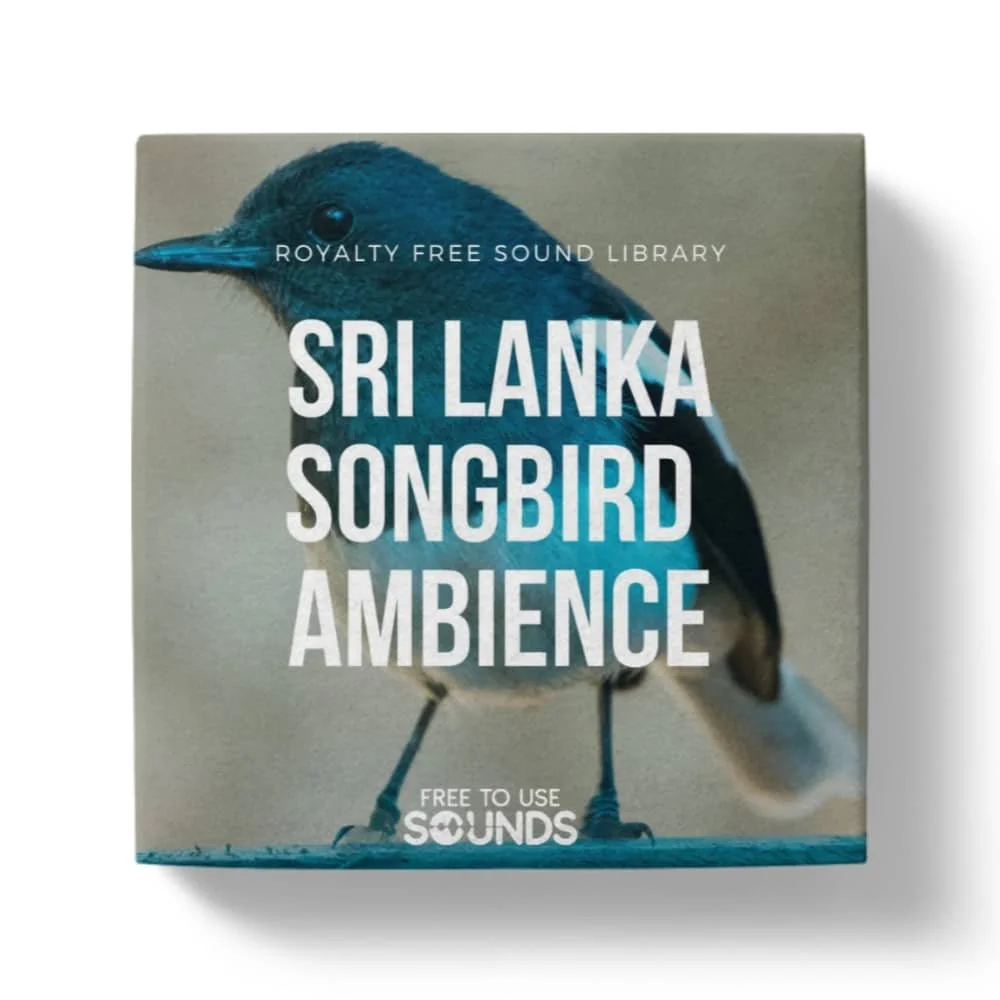 Jungle Songbirds of Sri Lanka