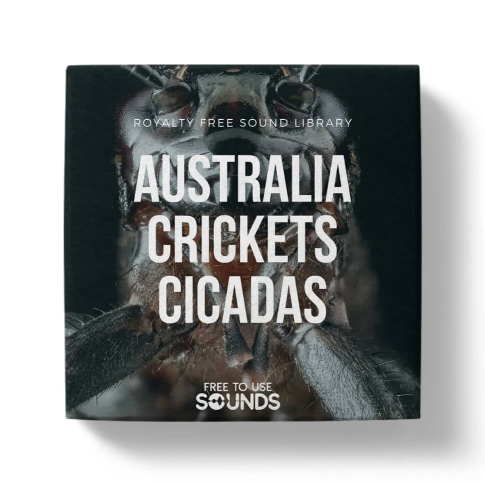 Australian Cicadas and Crickets Sound Effects
