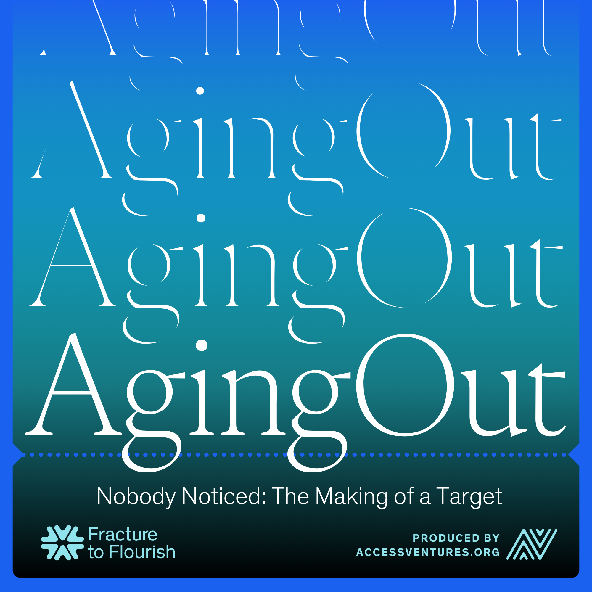 Nobody Noticed: The Making of a Target