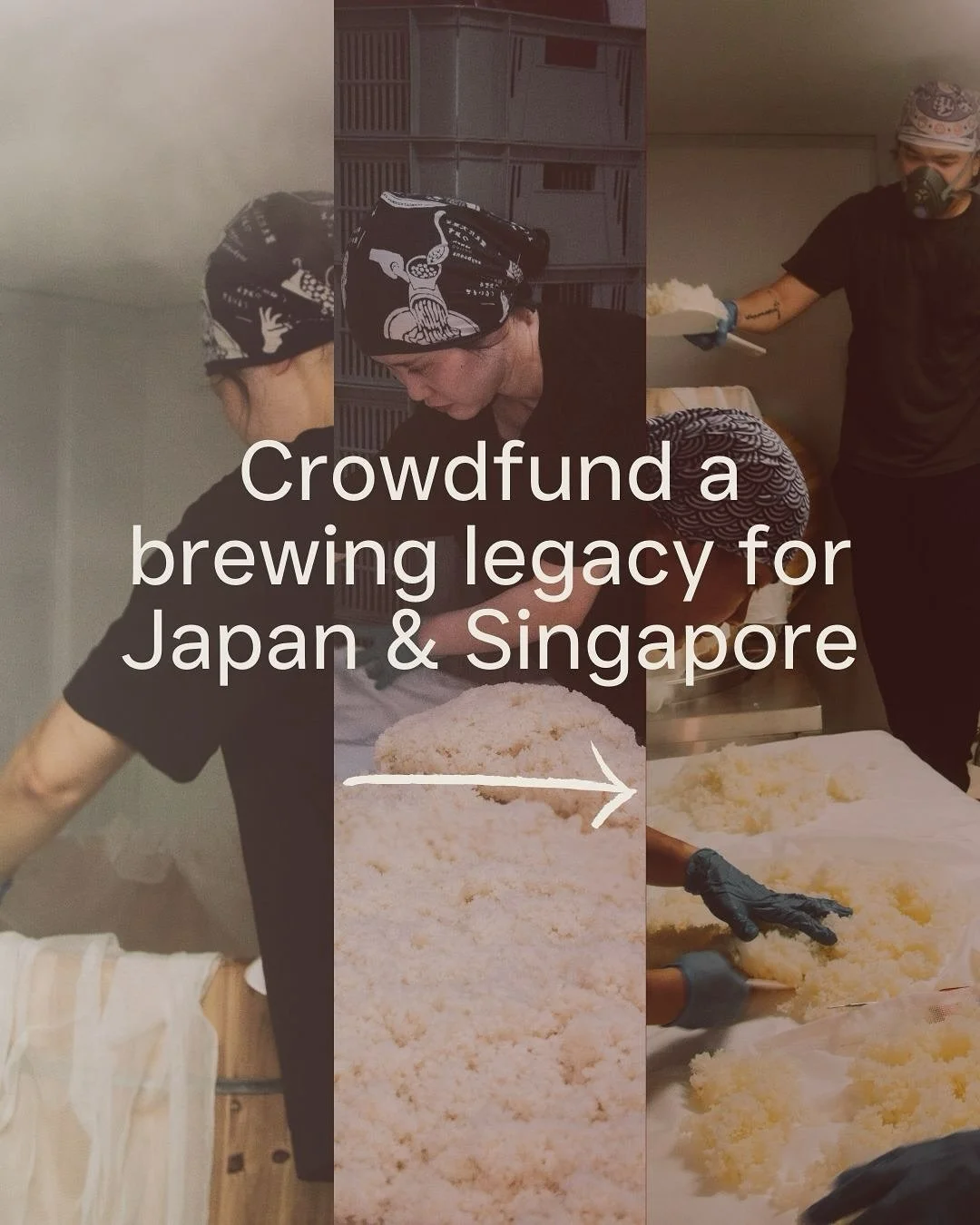 We are Singapore&rsquo;s first and only sake brewery&mdash; brewing the impossible, and building a community. Swipe to find out more about our crowdfunding hampers, and how you can support us to represent both Singapore and Japan on the world stage o