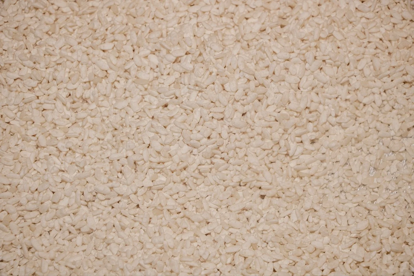 Koji breathes life into sake brewing by converting rice starch into sugar in order for our yeast to produce alcohol. We make our very own Koji here in Singapore at the brewery, swipe to check out our most recent batch.
&mdash;&mdash;
麹は米のデンプンを糖に変え、酵母