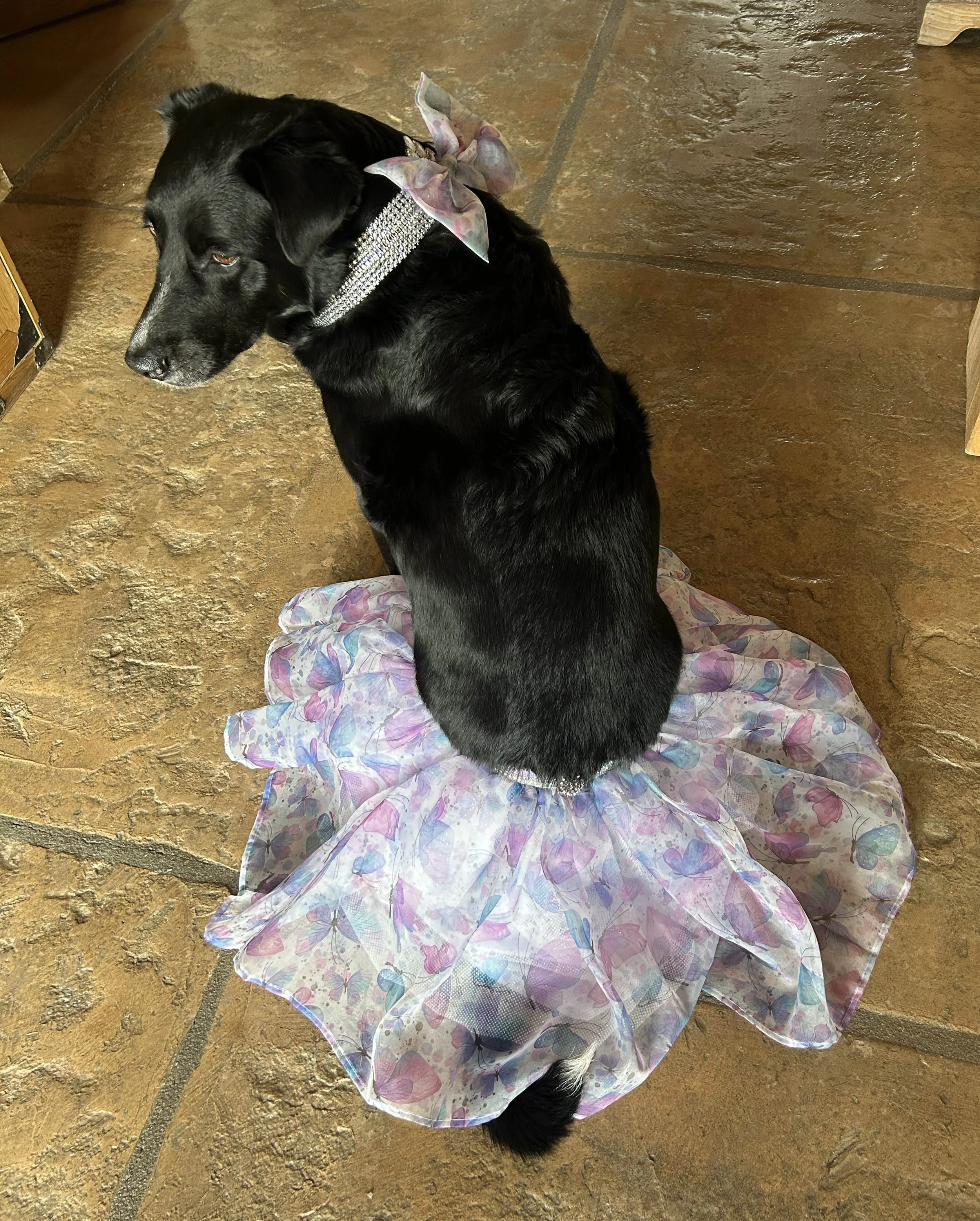 Getting ready for the week before Easter, 2026. I'll be wearing this to every hospital and clinic we visit that week.