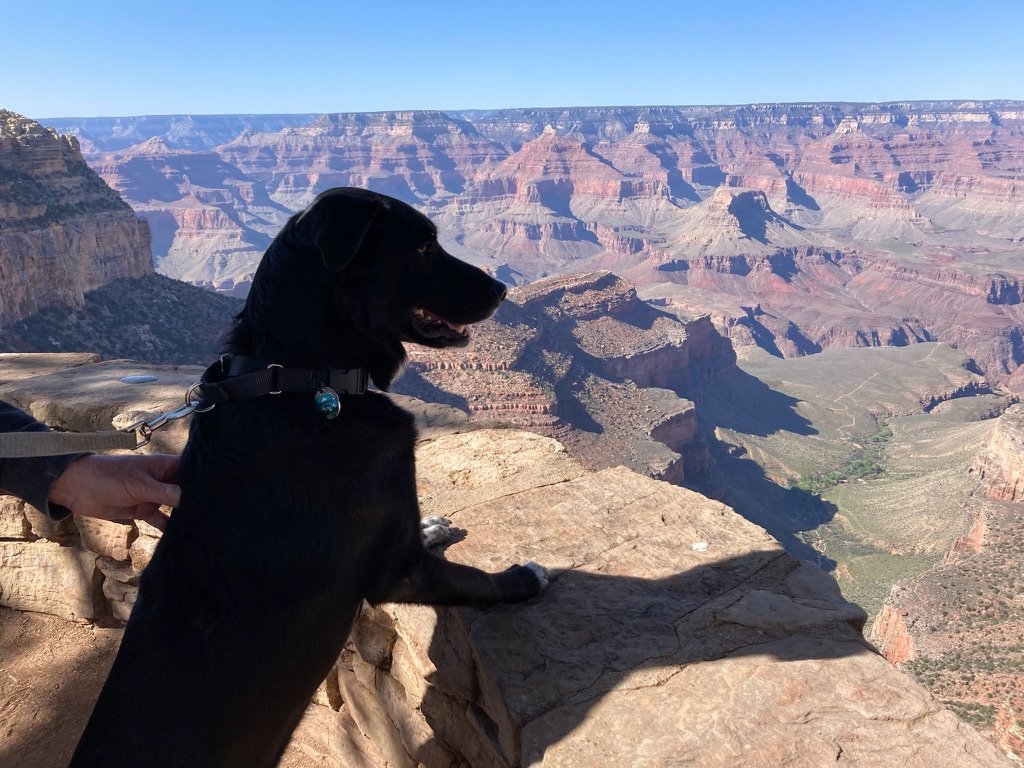 Loren, Ellen, and I visited the Grand Canyon which was amazing and beautiful. In this photo I look like I was thinking deeply about the millions of years it took for the canyon to be formed but actually I was looking for lizards to chase over the edg