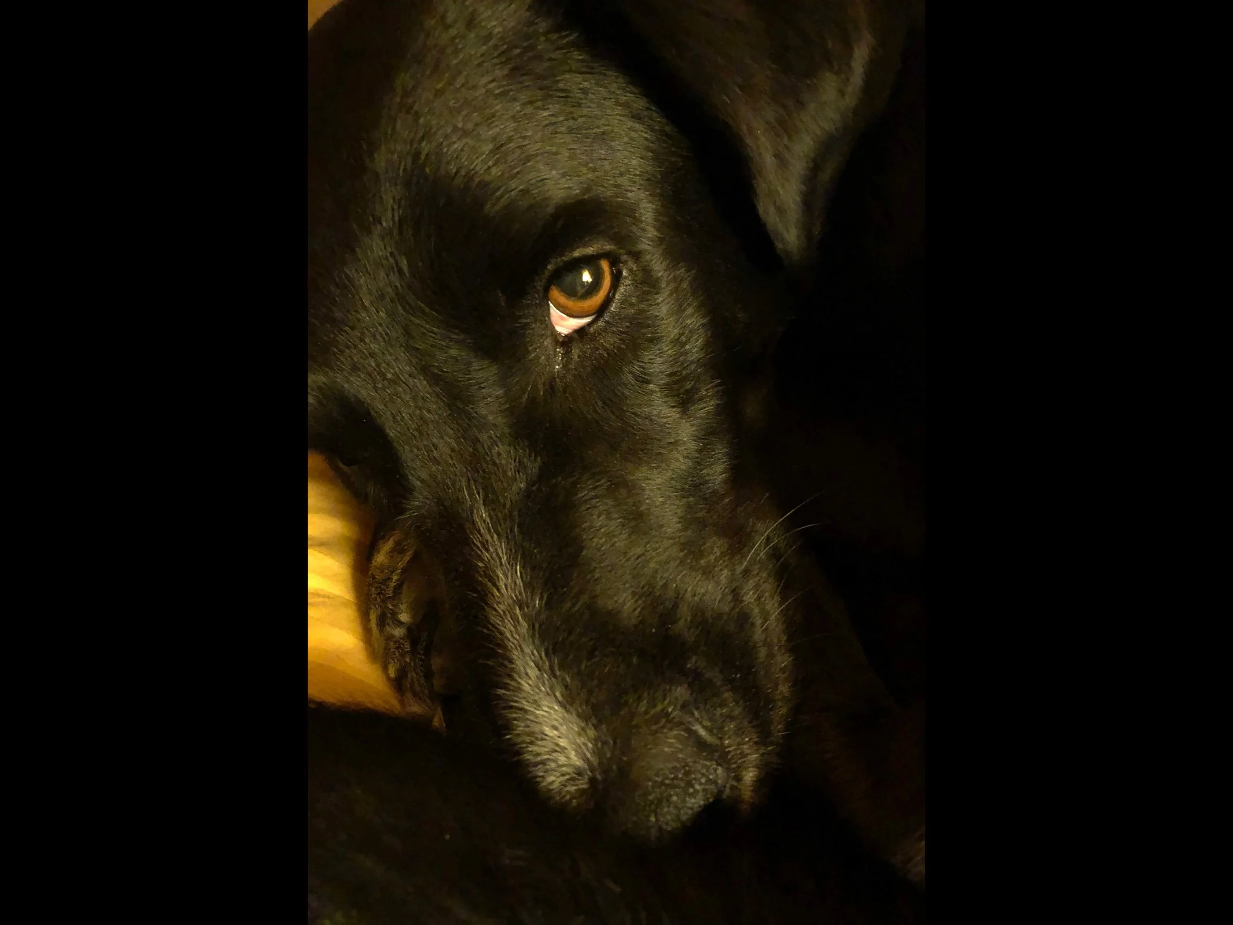 This is my face when I feel sad for someone.