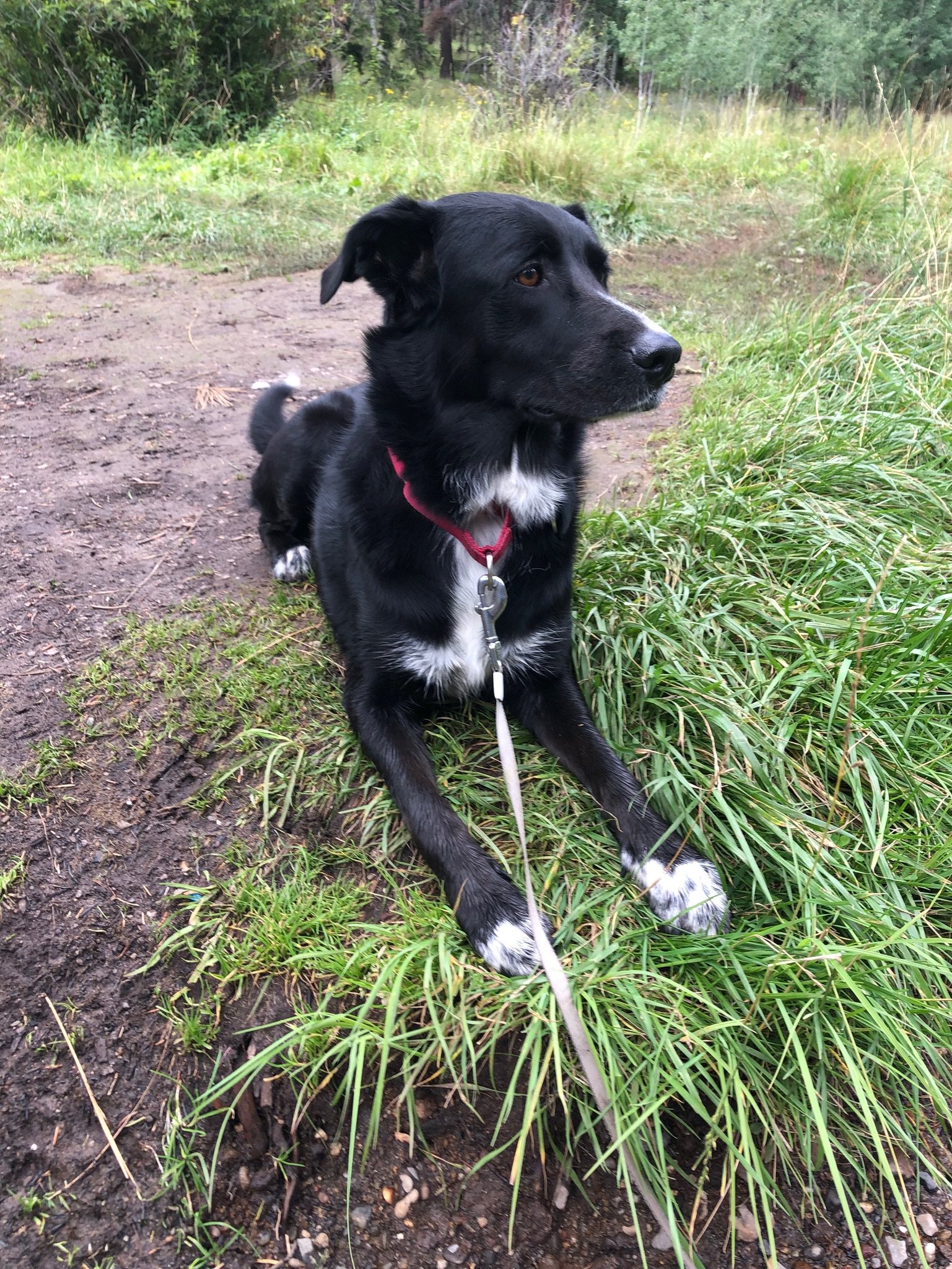 Loren and I went on a hike and came to a shallow river that we needed to walk across. I think you can tell from how I look that I really didn't want to do that.