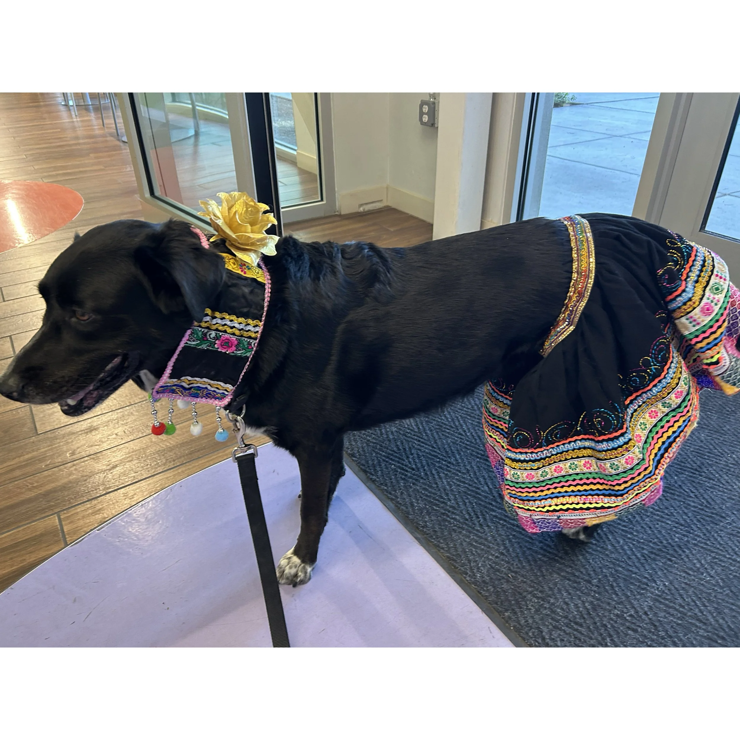 My first change was to an outfit from Peru!