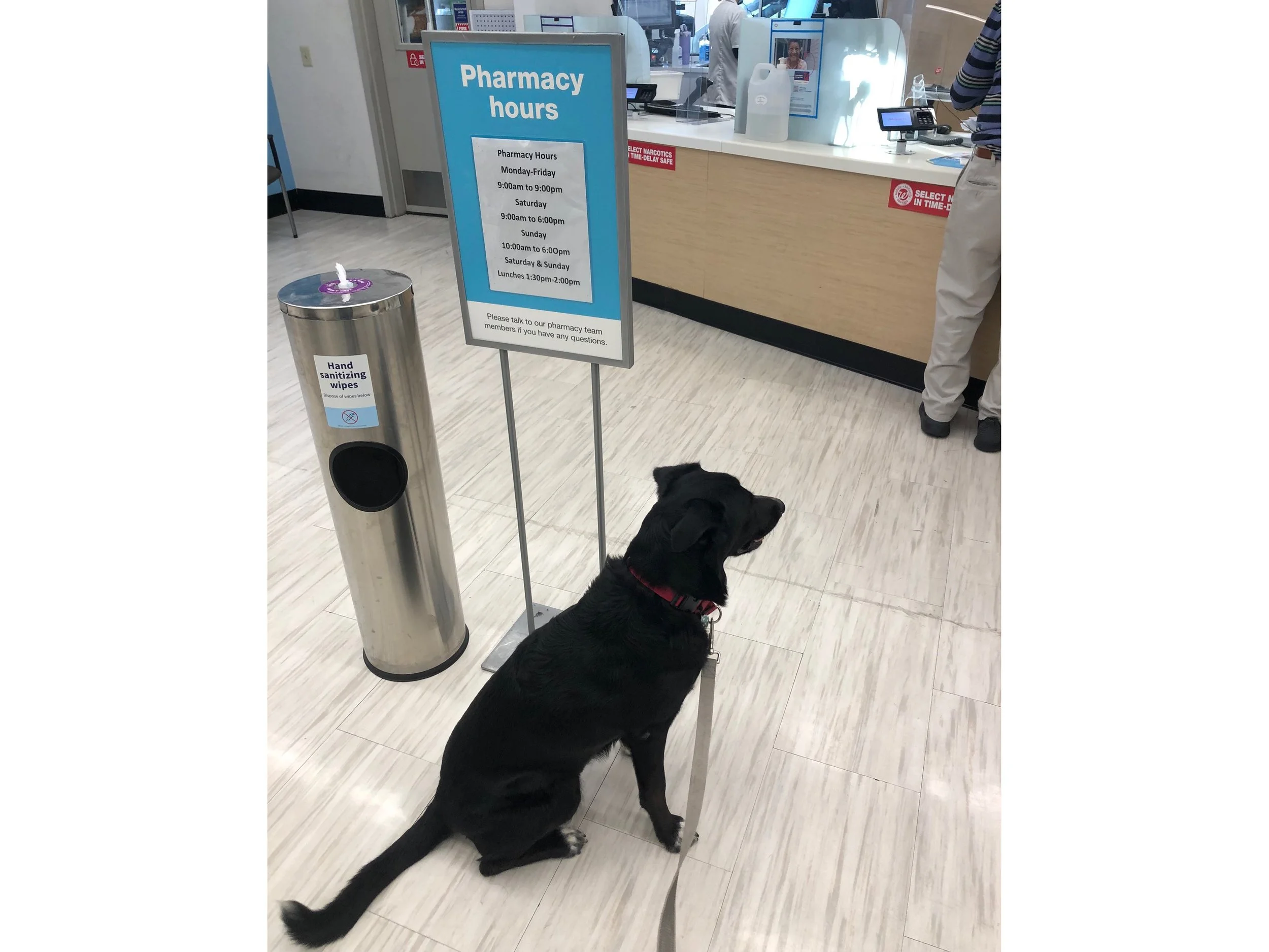 I got to practice being well-behaved and patient at a pharmacy.