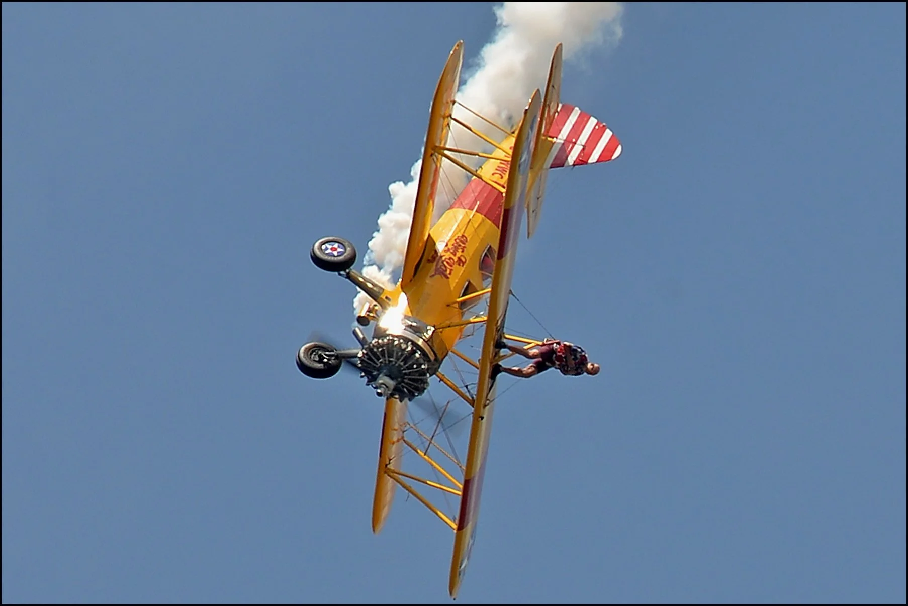 DSC_8095uk.jpg
