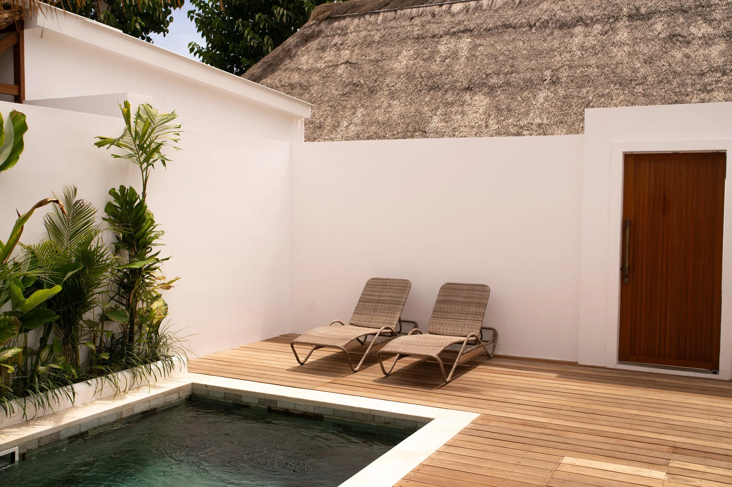 WhatsApp Image 2025-03-31 at 19.13.20.jpeg