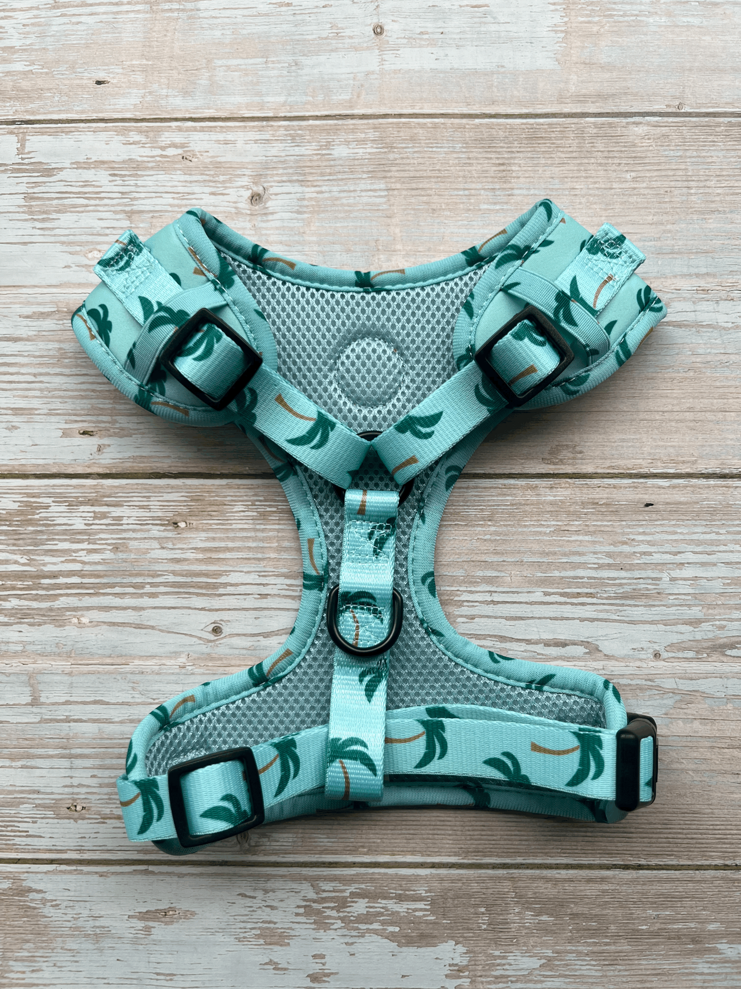 tempImageoFj27l.gif