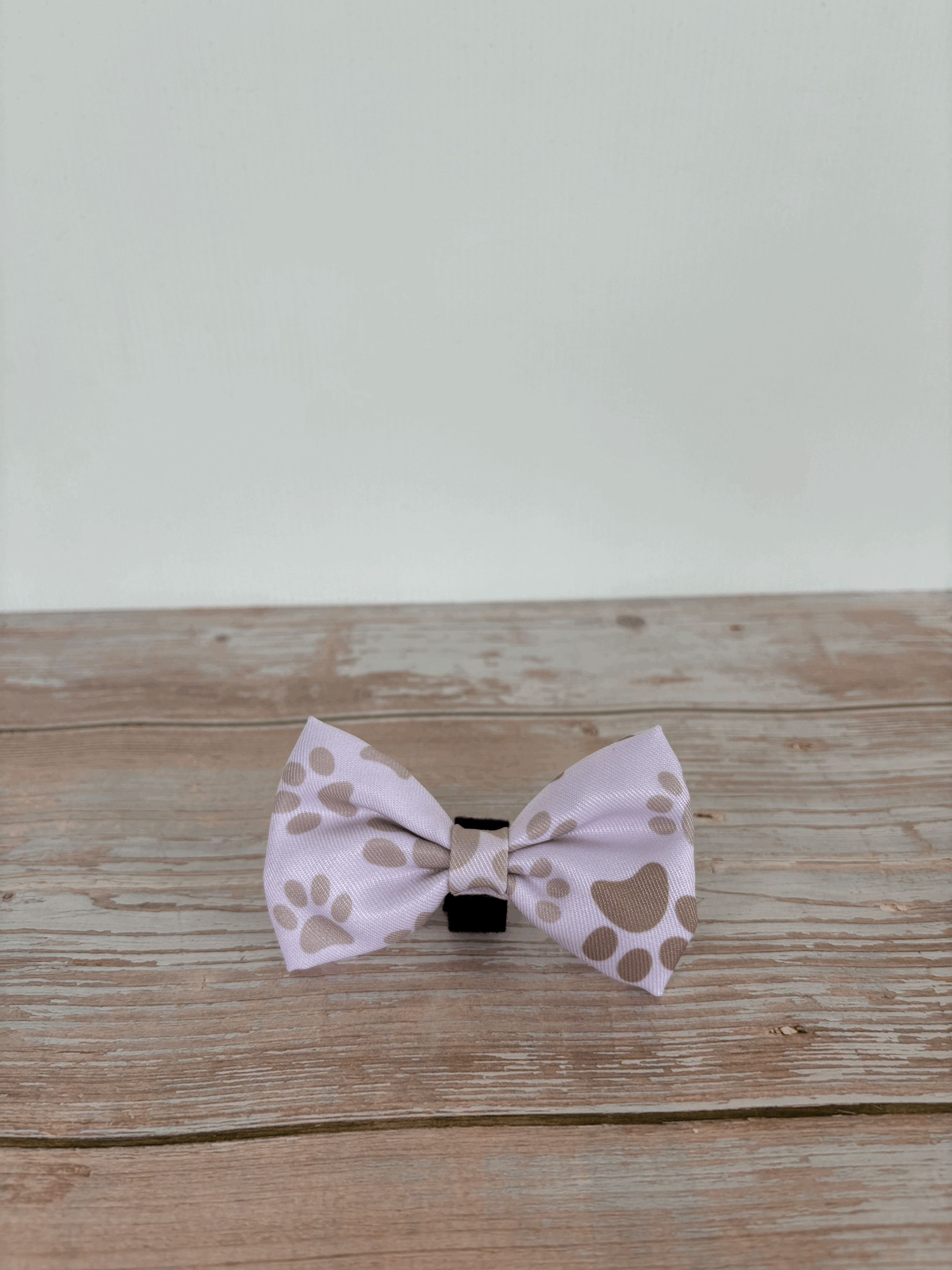 Paw Print Bow Tie