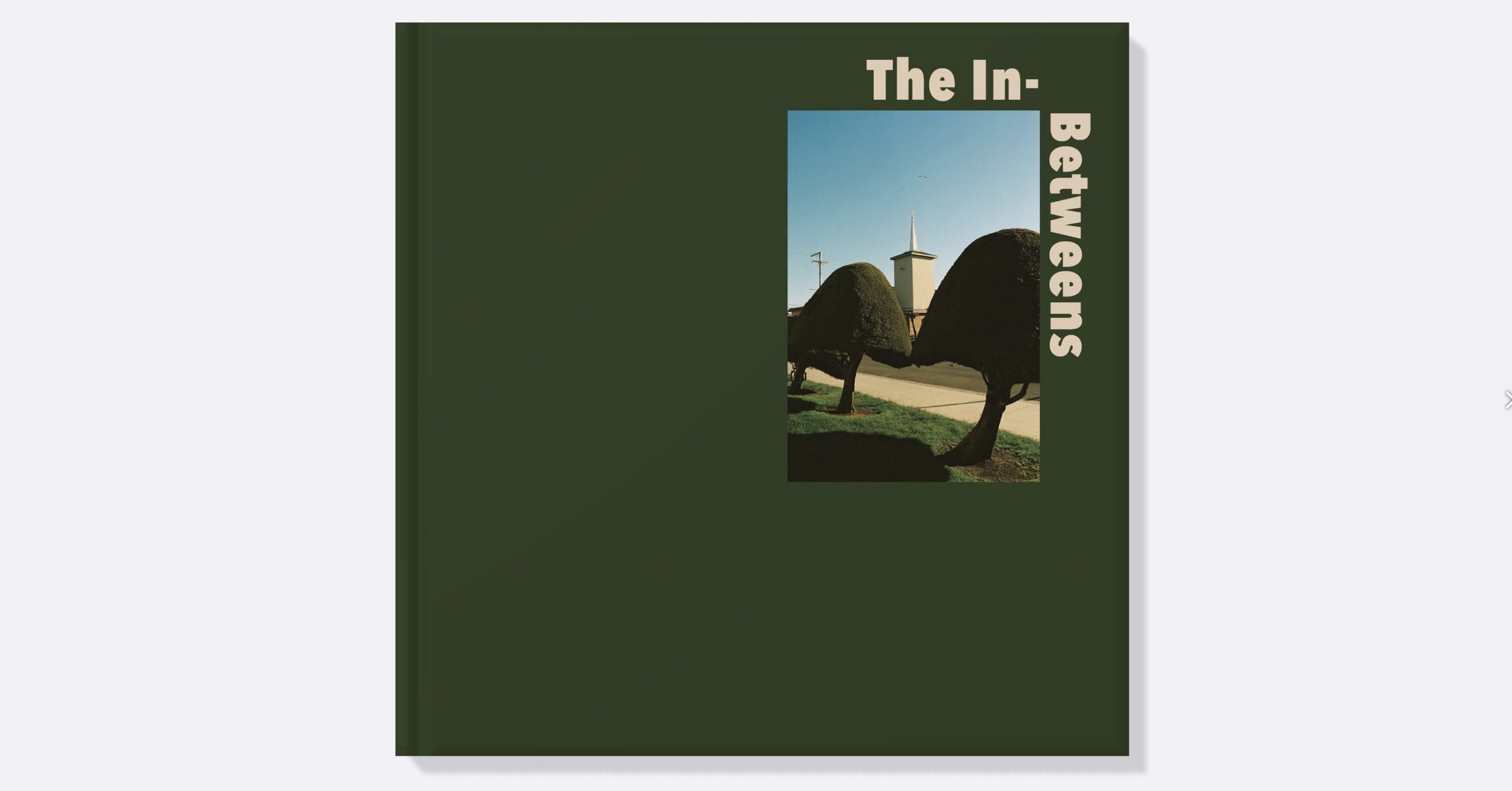 Screenshot 2026-03-25 at 4.45.54 PM.jpg