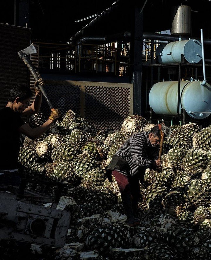 Found this in the camera roll!
A little throwback to where all the good stuff begins.