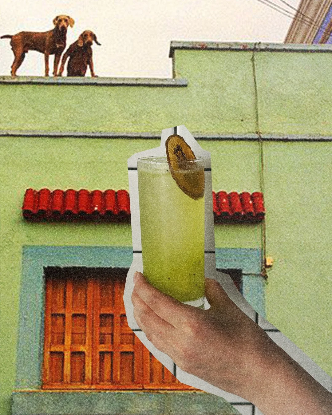 neon splice!⁠
mezcal. midori. kiwi. vanilla. soda.⁠