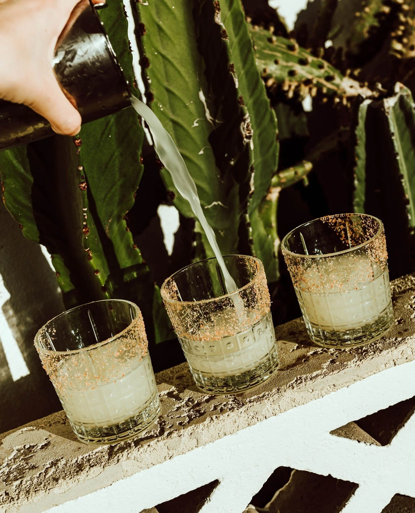 GOLDEN HOUR, COASTAL STYLE!⁠
+ $12 tommy&rsquo;s⁠
+ $7 lager⁠
+ $9 sharing salsas⁠
⁠
daily, 5&ndash;6pm⁠!⁠
meet us on the Nard'