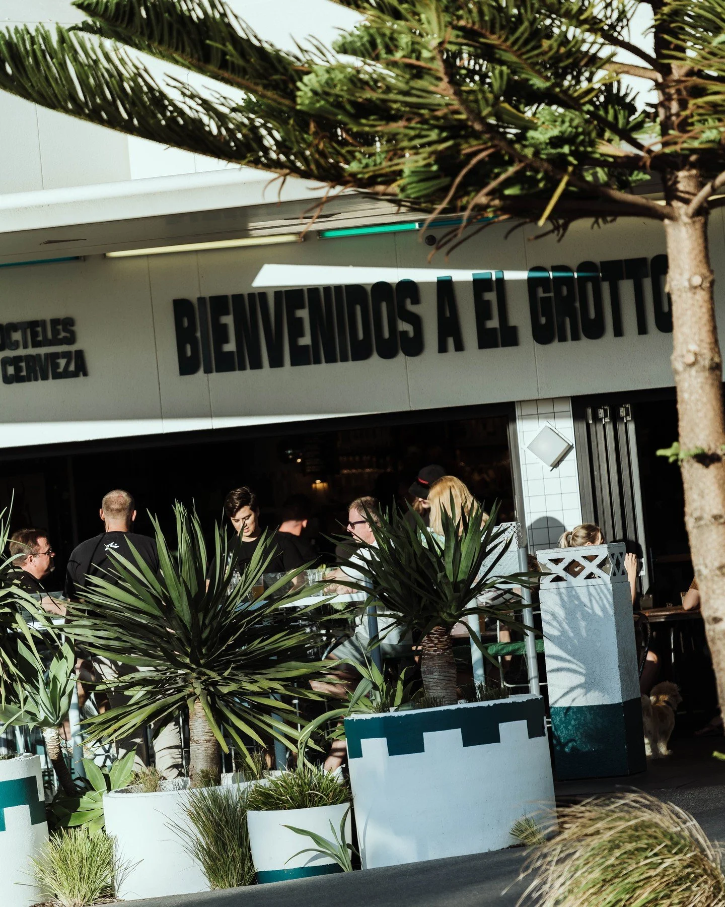 Hot weekend on the cards!⁠
Cool off with a dip, then wander up for a Tommy's or two, cold beers and a table full of tacos.⁠
⁠
Weekend plans sorted!