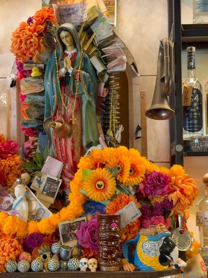 moments from around the Grott🌞