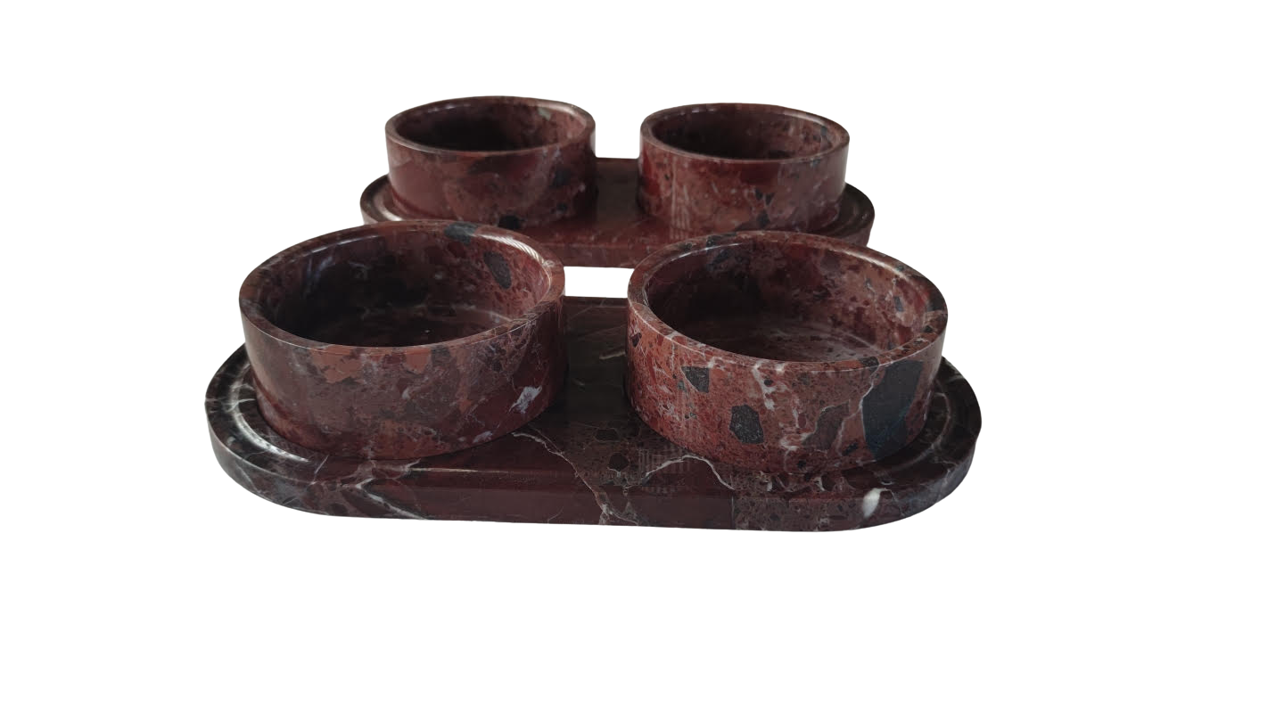 Pucci pet bowl_No BG.png