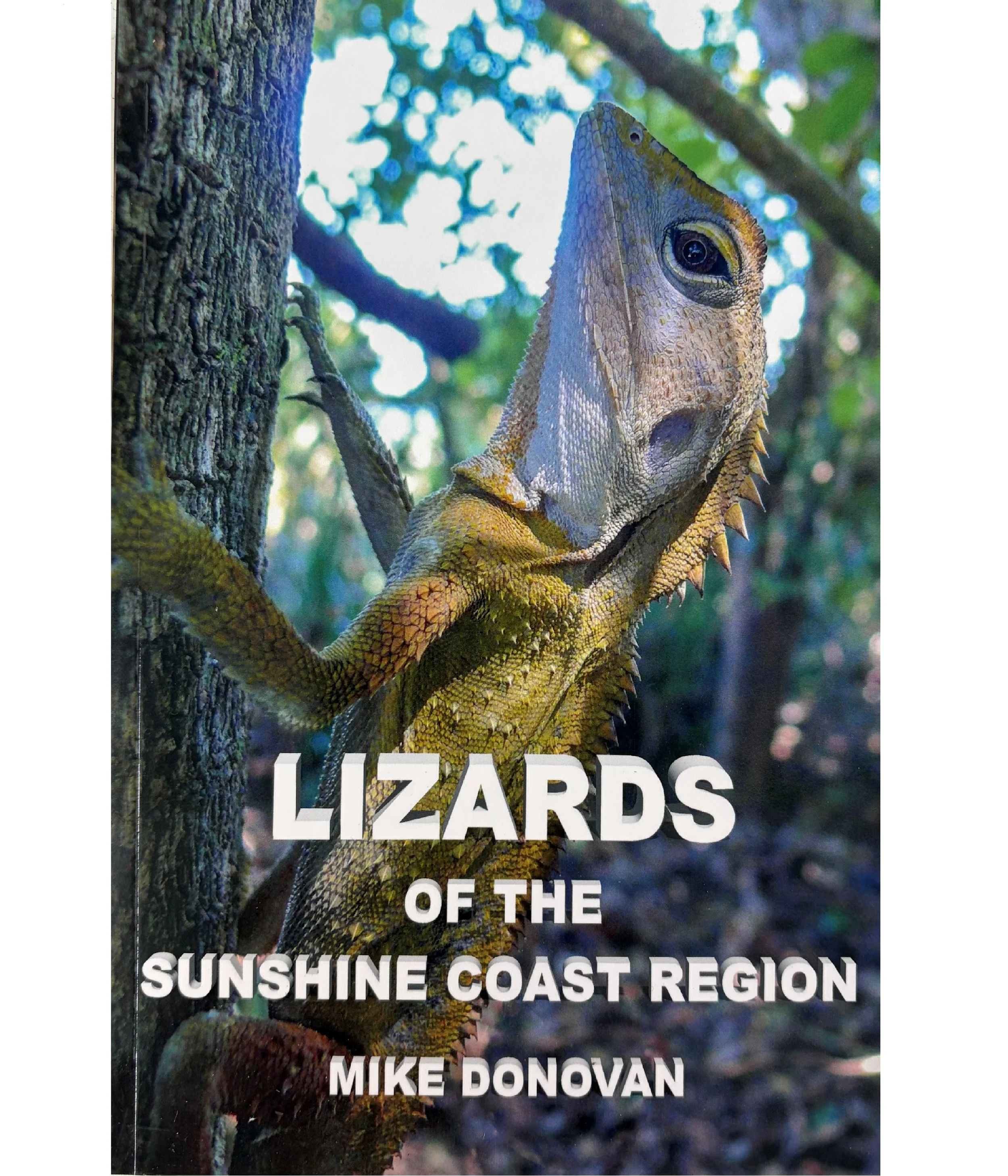 Lizards of the Sunshine Coast.jpg