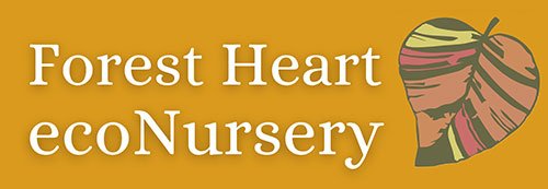 Forest Heart ecoNursery, Maleny