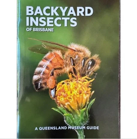 Backyard Insects