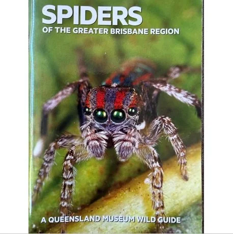 Spiders
