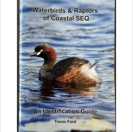 Waterbirds and Raptor Birds of Coastal SEQ