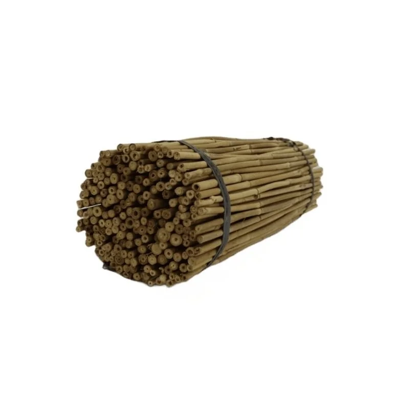 Bamboo stakes.jpg