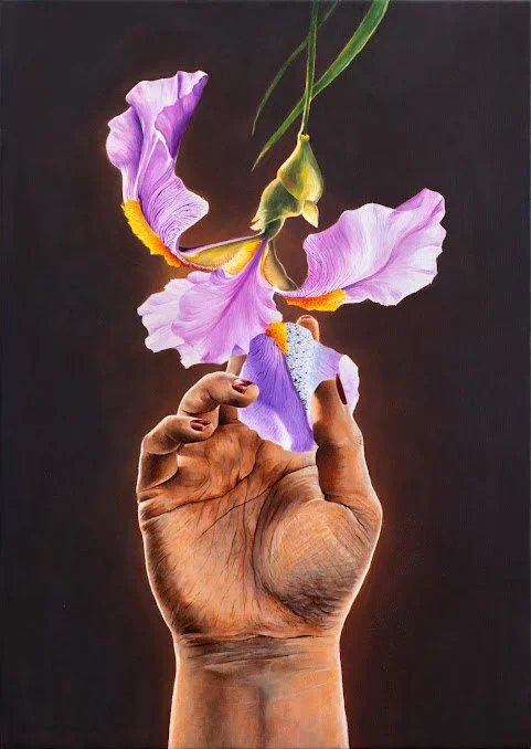 A realistic painting of a human hand holding a large, purple iris flower against a dark background.