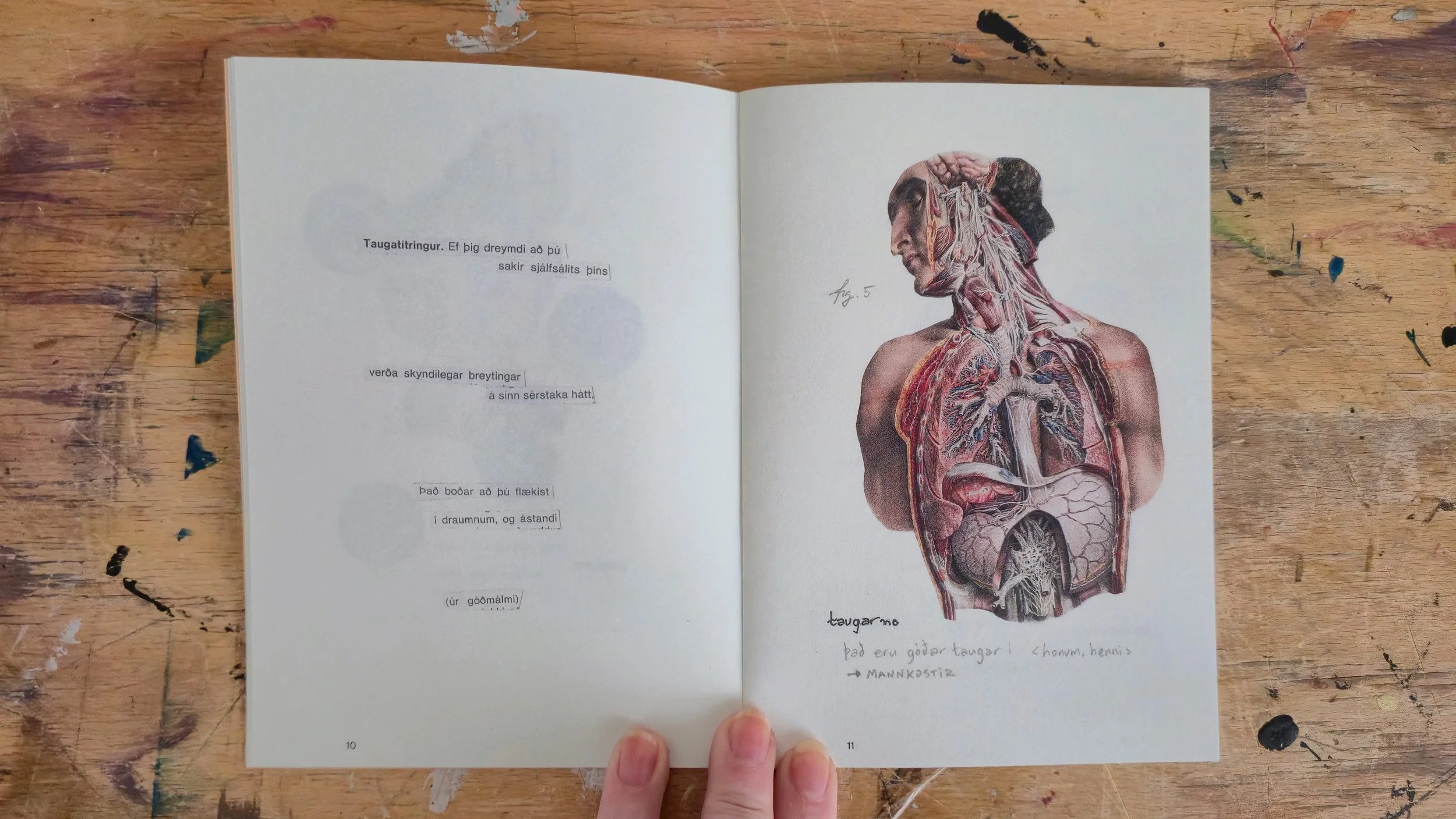 An open book showing a detailed anatomical illustration of a human body, focusing on internal organs and muscles, on a wooden surface with paint stains.