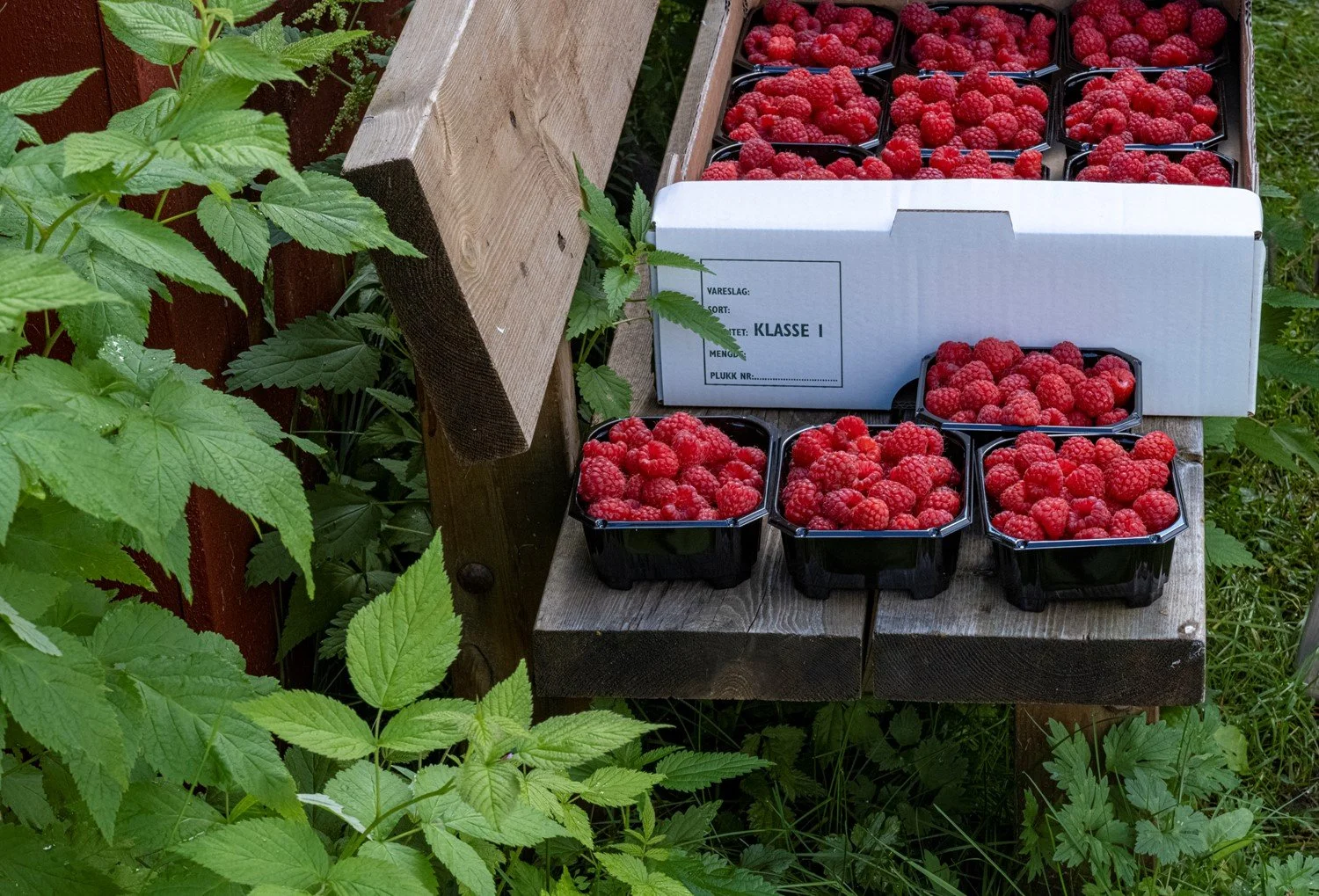 Foto: Knut Blixe Valberg