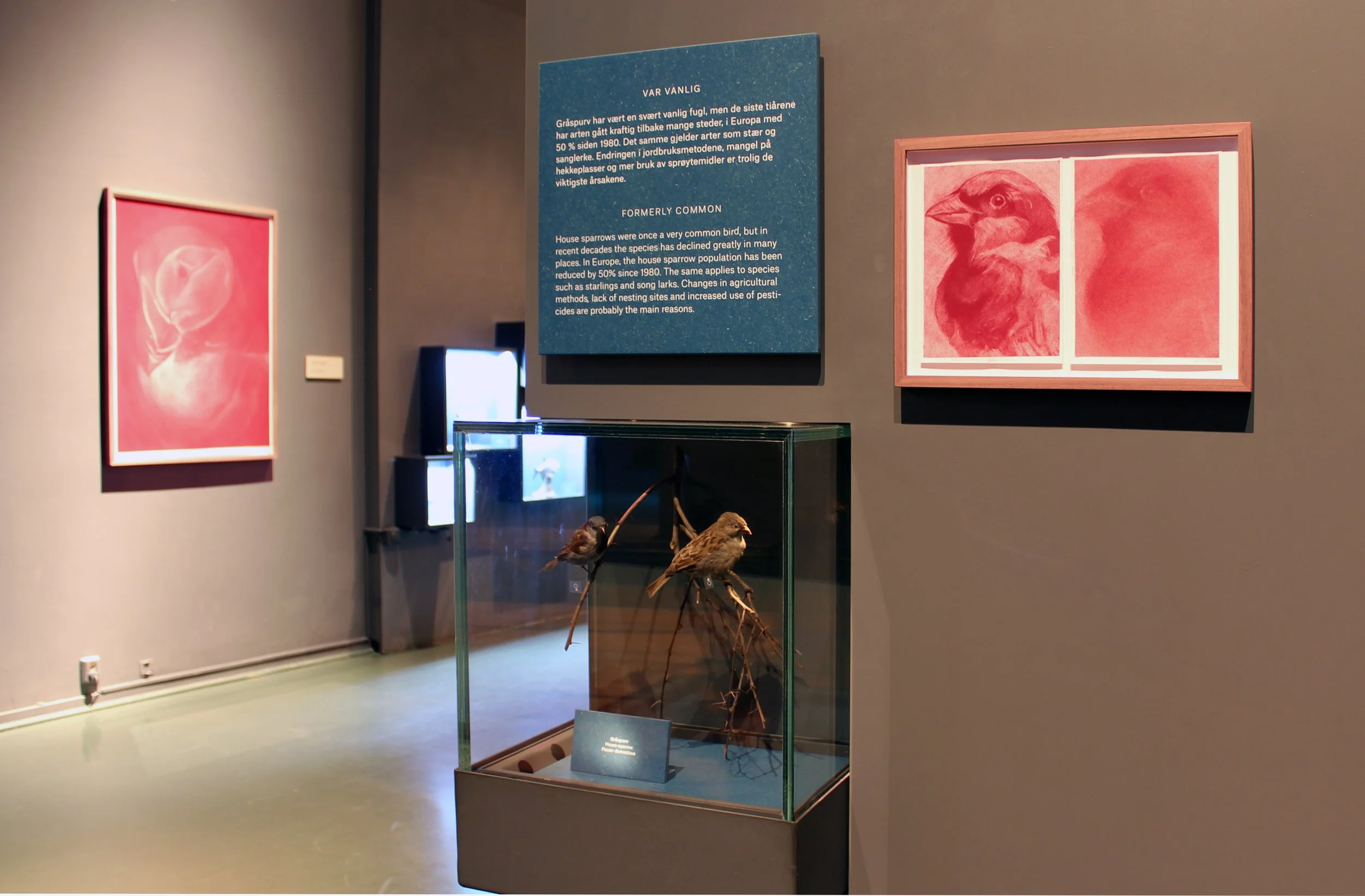 24exhibition-contemporary art-Natural museum in Oslo-vigdisfjellheim-2026.jpg