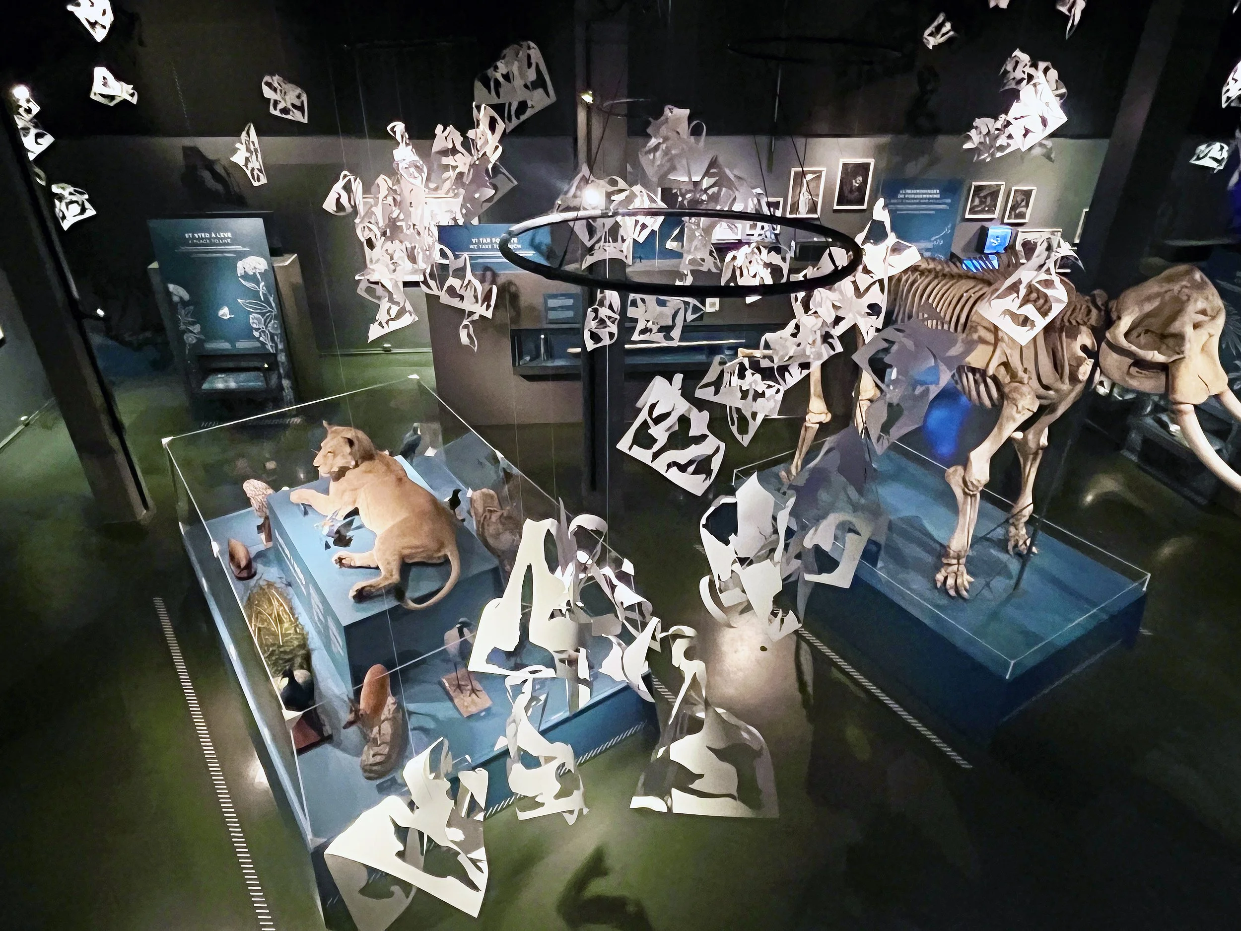 15-exhibition-contemporary art-Natural museum in Oslo-vigdisfjellheim-2026.JPG